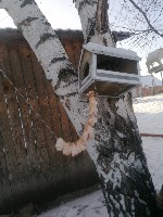 Изображение Изображение