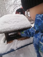 Изображение Изображение