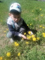 Изображение Изображение